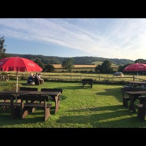 Meet your Posher, Joanne